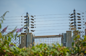 cerco electrico